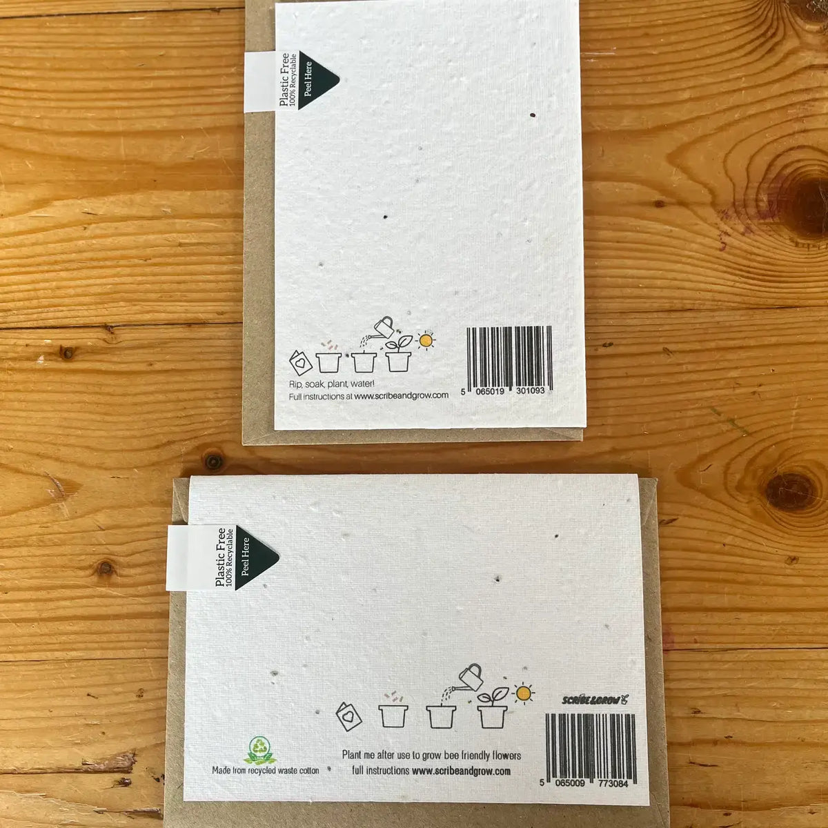 Happy Holidays Pine Cone - Plantable Seed Card