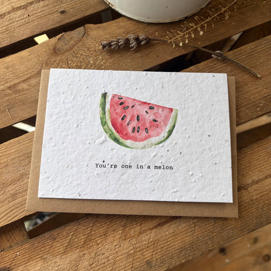 You're One in a Melon - Plantable Seed Card