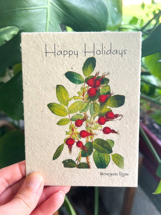 The Winter Botanical