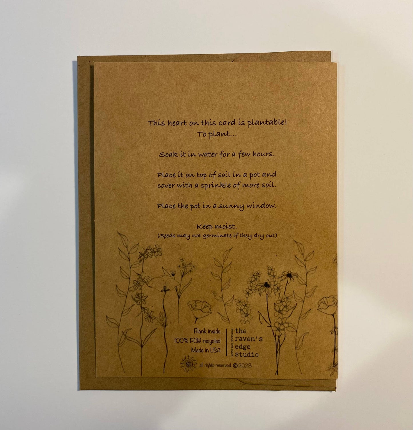 The Wildflower Wish