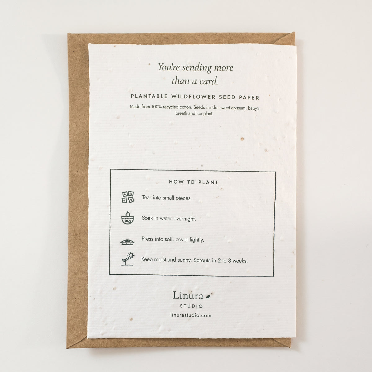 Single Daisy | Plantable Thank You Card