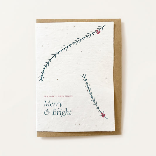 Pine & Berries | Plantable Christmas Card