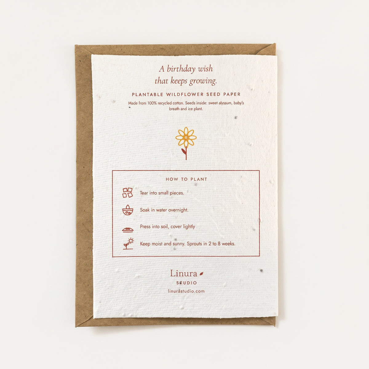 Birthday Bouquet | Plantable Birthday Card