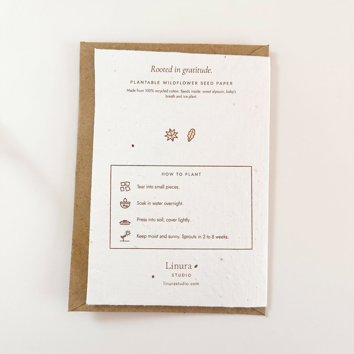 Falling Leaves | Plantable Thanksgiving Card