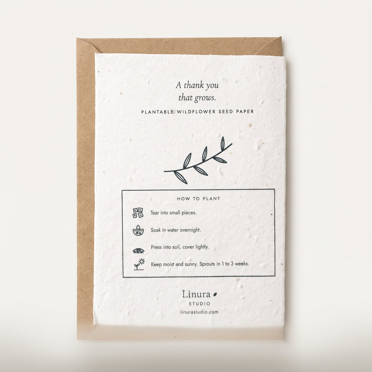 Olive Branch | Plantable Thank You Card