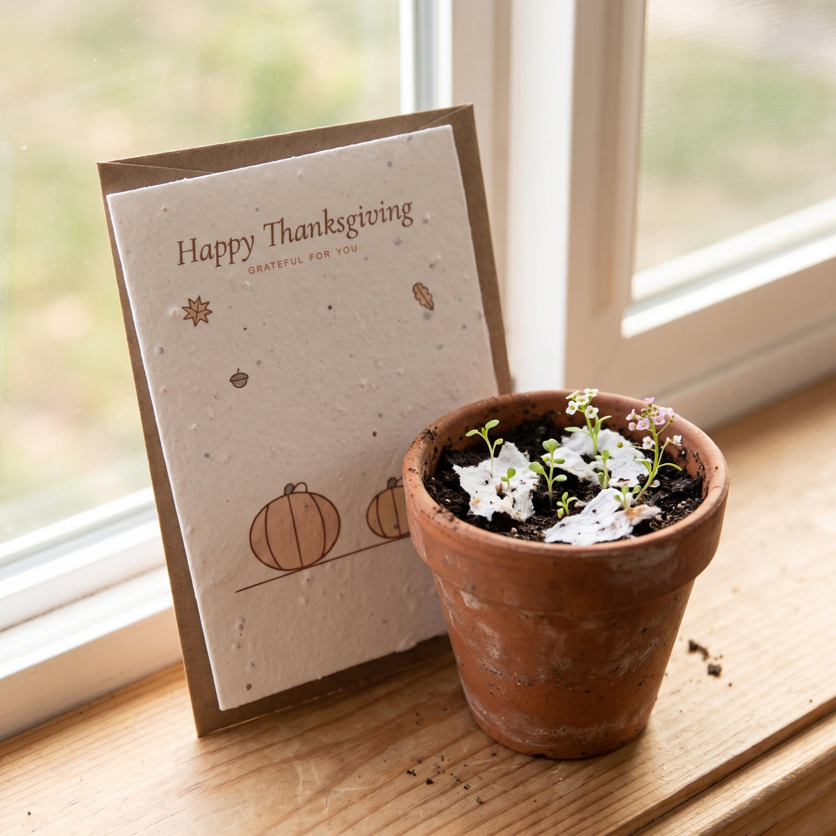Three Pumpkins | Plantable Thanksgiving Card