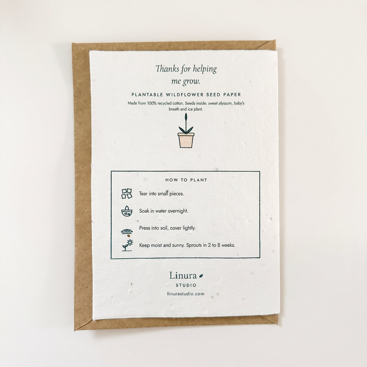 Little Plant | Plantable Thank You Card