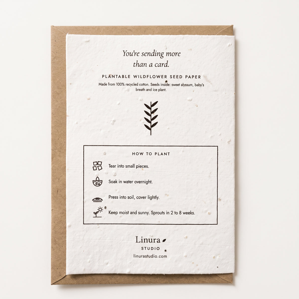 With Love | Plantable Card for Any Occasion