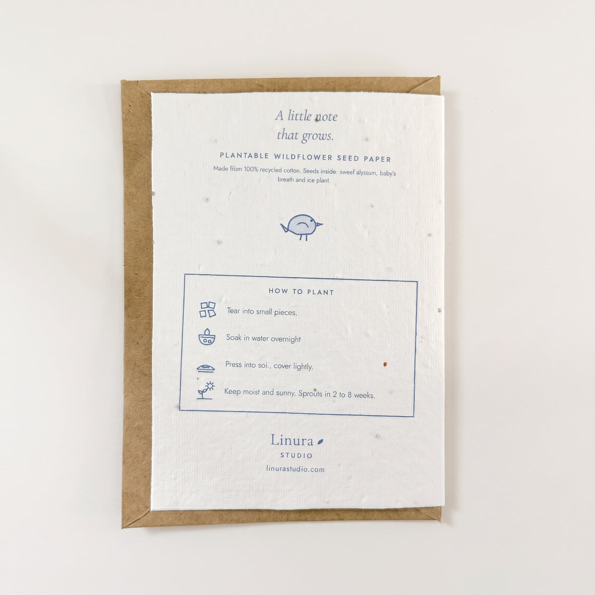 Little Bird | Plantable Thank You Card