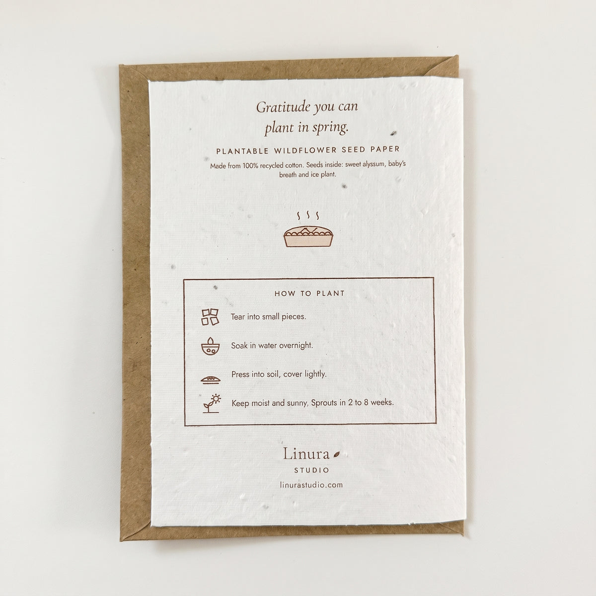 Pumpkin Pie | Plantable Thanksgiving Card