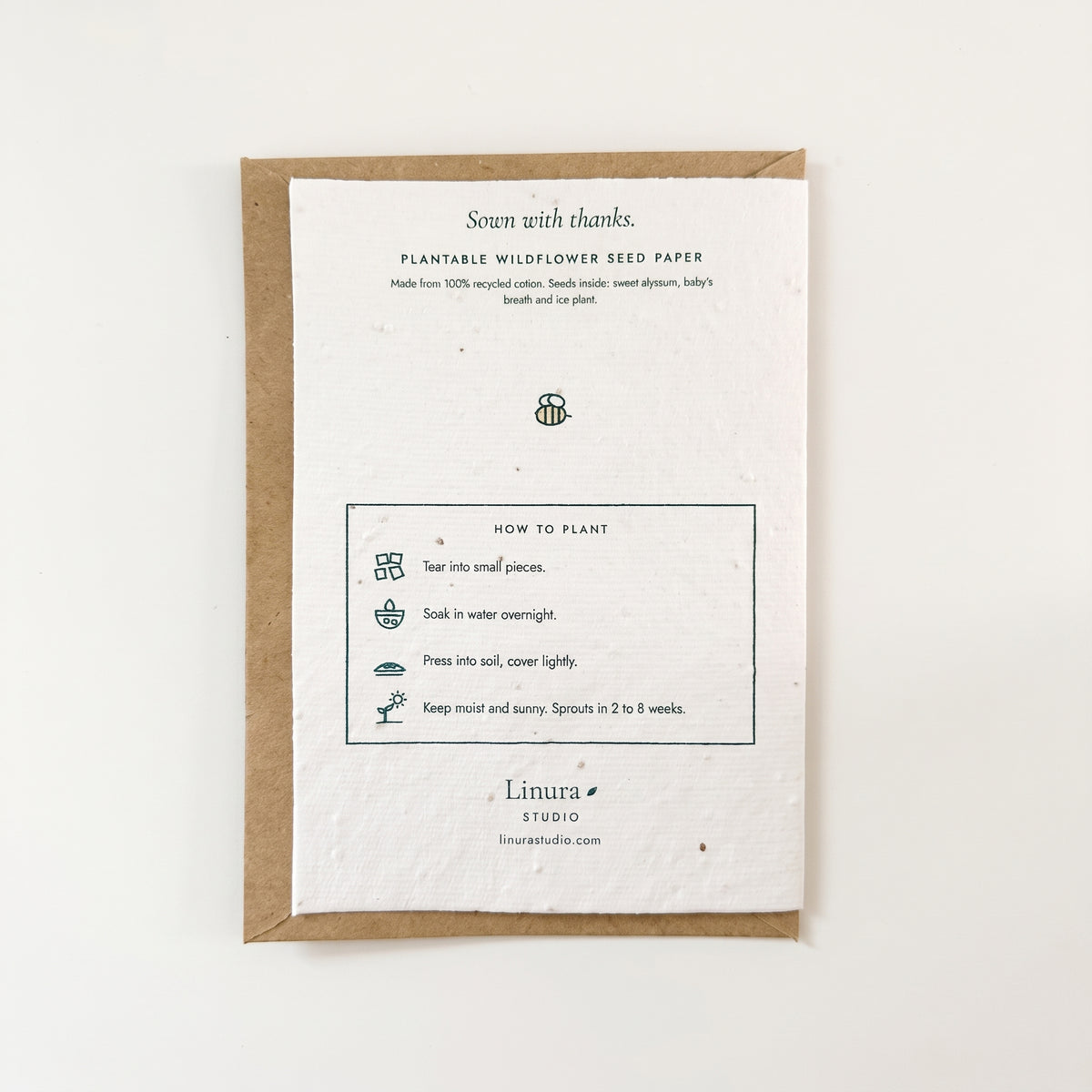 Busy Bee | Plantable Thank You Card