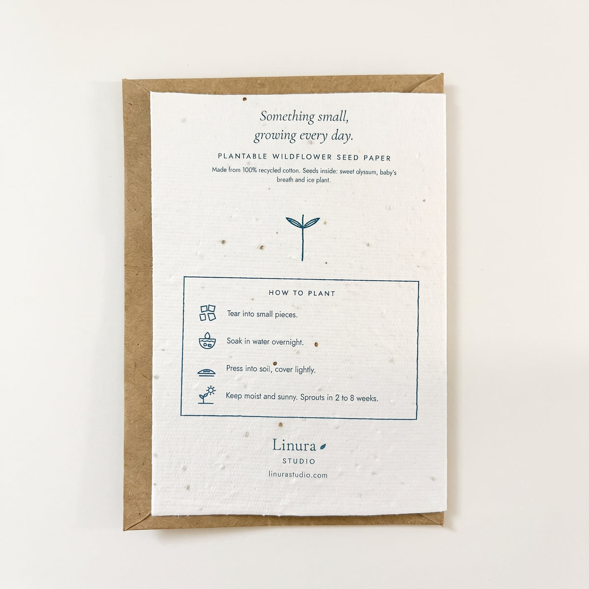 Hello Little One | Plantable New Baby Card