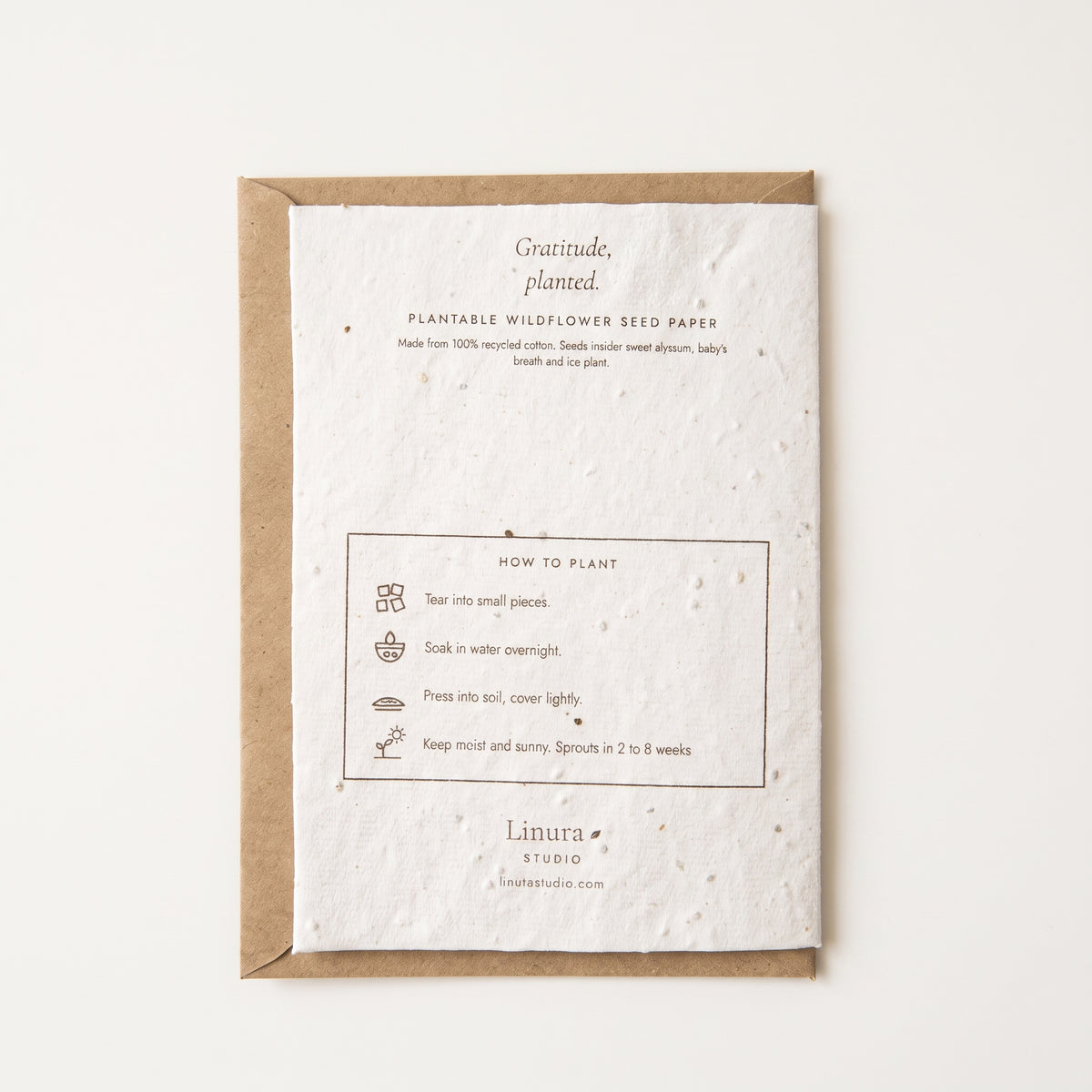 The Seal | Plantable Business Thank You Card