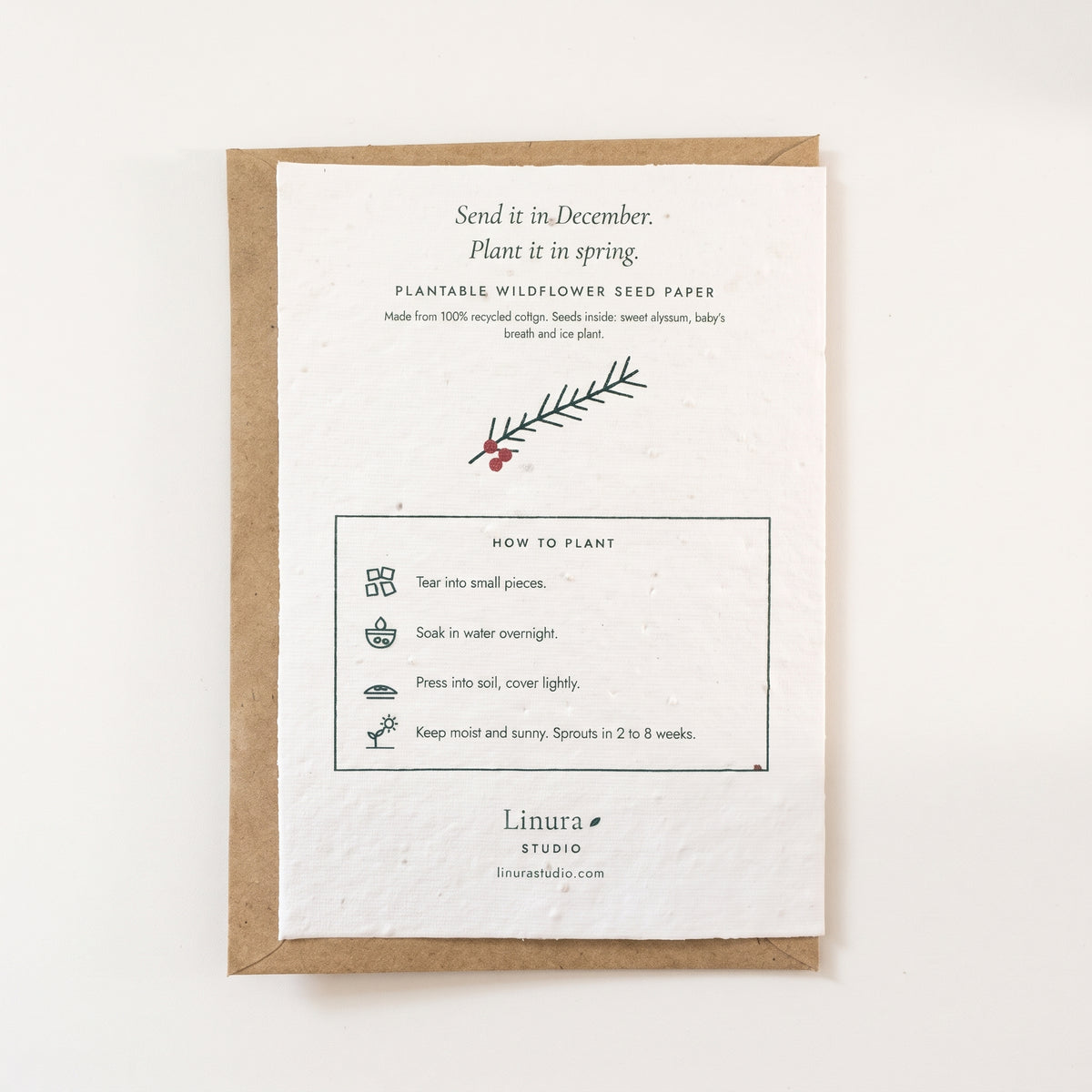 Pine & Berries | Plantable Christmas Card