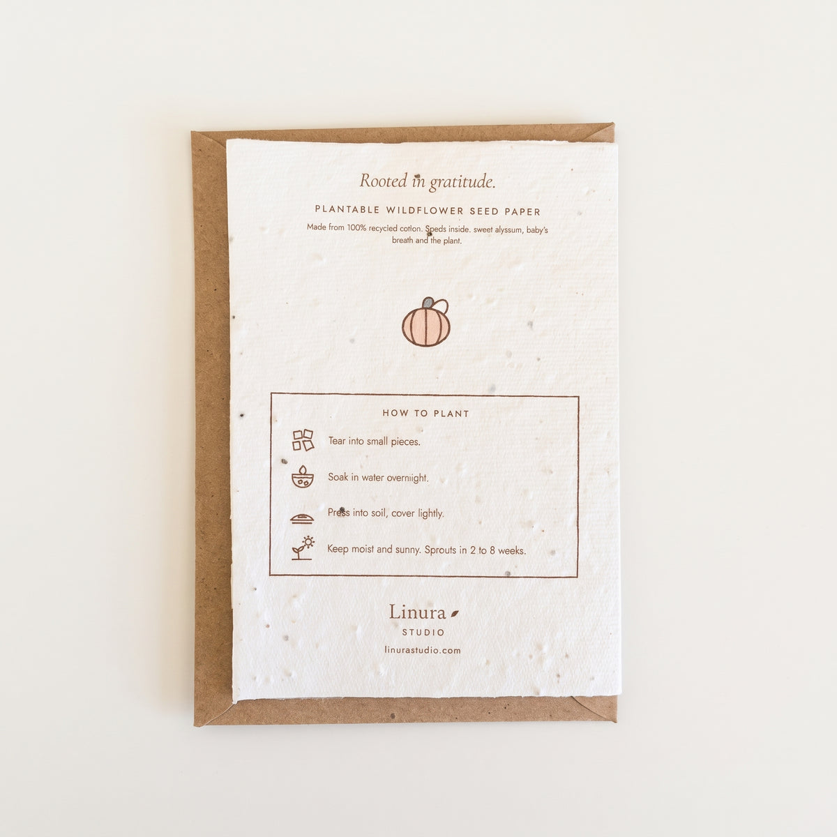 Three Pumpkins | Plantable Thanksgiving Card